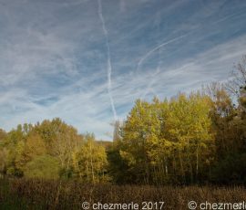 DSC_2655_DxO